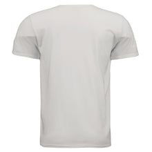 Load image into Gallery viewer, Ice Grey - BACK